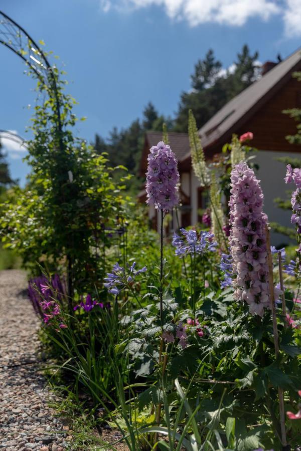Cottage On The Hill Kielno Exterior photo